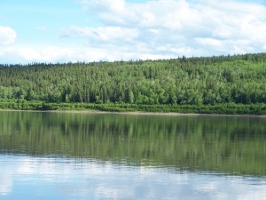 Calm water on the Peace River