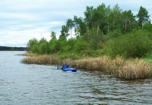 In the reeds